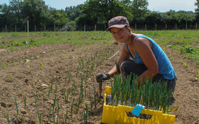 Le potager du Domaine de Brandois : là où tout commence !