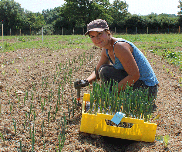 anaelle-potager-domaine-de-brandois anaelle-potager-domaine-de-brandois