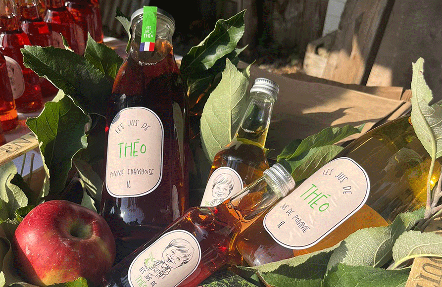 jus-de-theo-dmaine-de-brandois