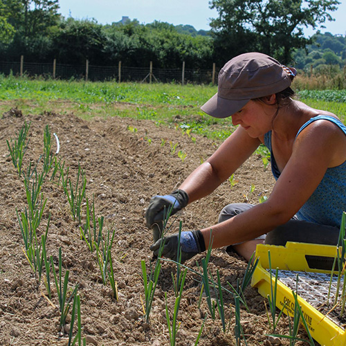 maraichere-potager-domaine-de-brandois