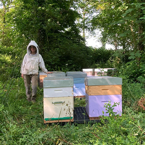 ruches-domaine-de-brandois