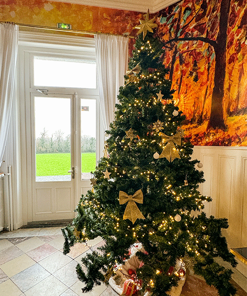 sapin-de-noel-domaine-de-brandois sapin-de-noel-domaine-de-brandois