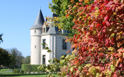 L'actualité du Domaine 1 Cet automne, réinventez vos événements professionnels au Domaine de Brandois